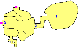 コキリの森の地図